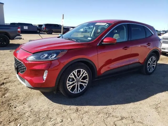 Ford ESCAPE SEL