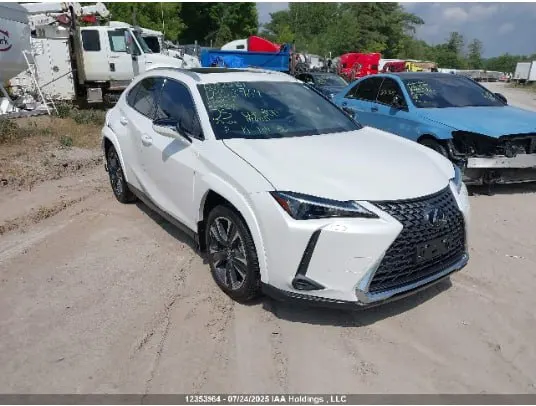 Lexus UX 300H