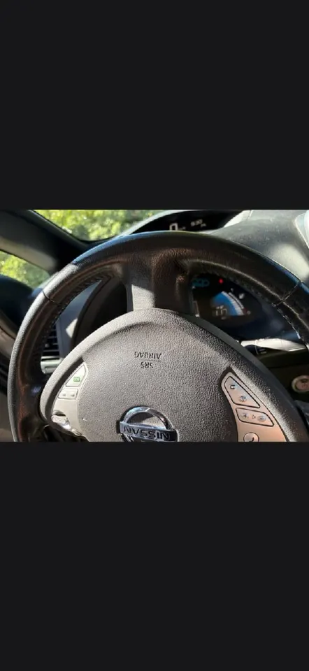 Nissan Leaf Nordic — фото 6