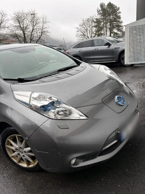 Nissan Leaf Nordic