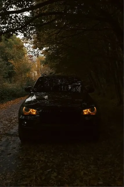 BMW X5 E70 3.0d