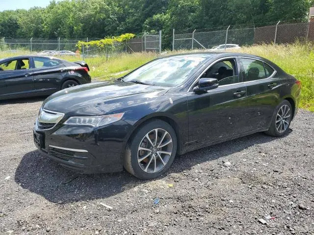 Acura TLX TECH