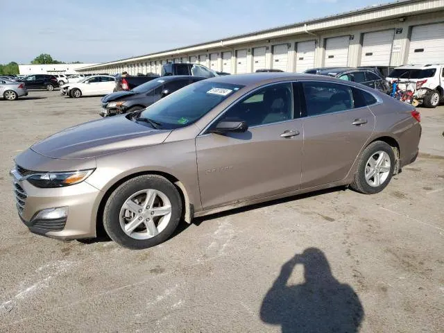 Chevrolet MALIBU LS