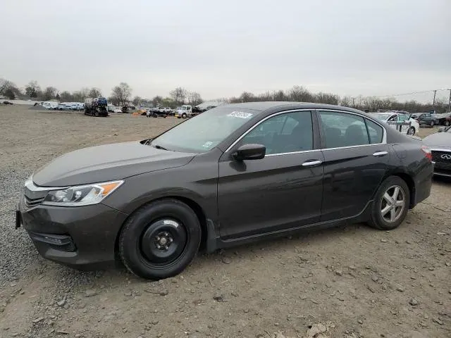Honda ACCORD SPORT SPECIAL EDITION