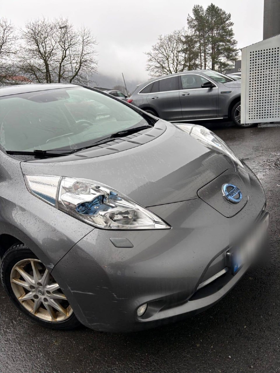 Nissan Leaf Nordic