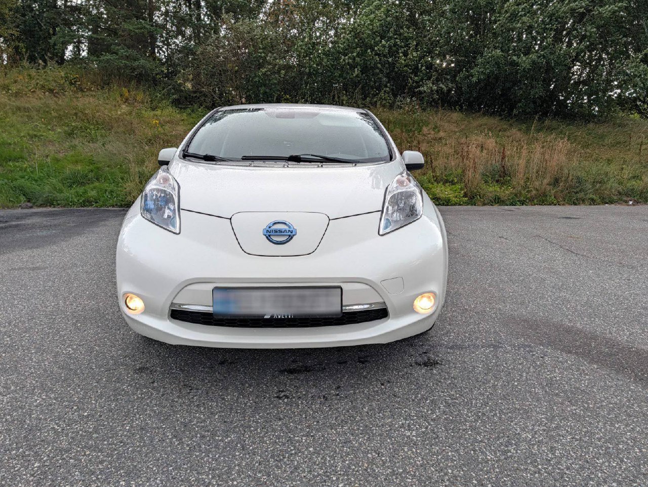 Nissan Leaf Acenta