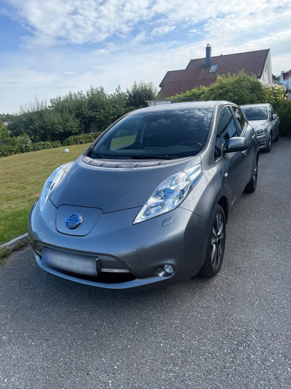 Nissan Leaf Nordic