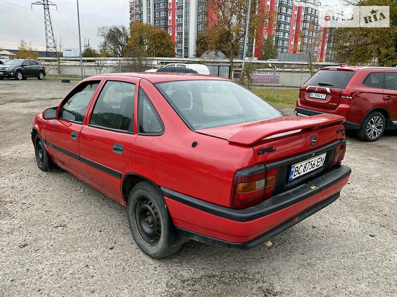 Фото 8