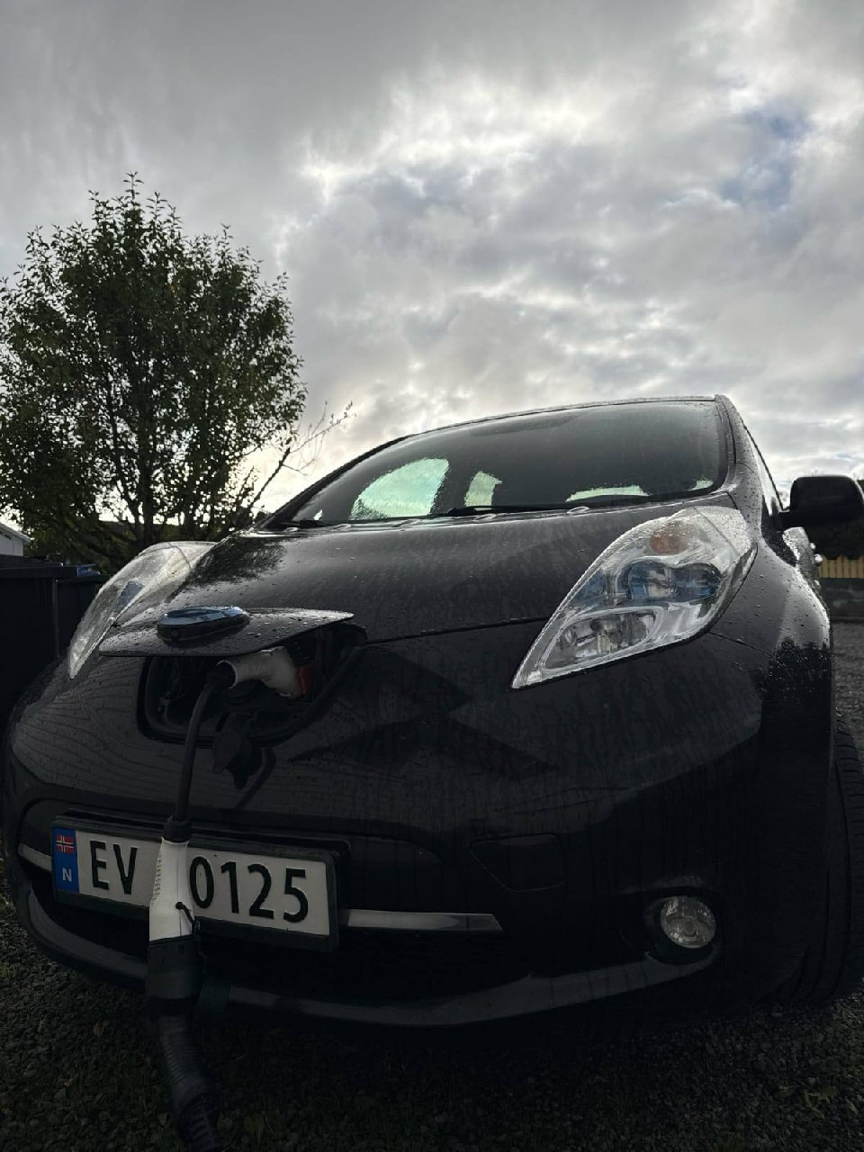 Nissan Leaf Tekna