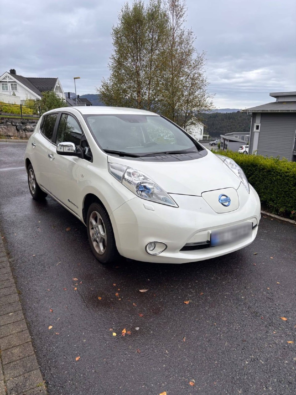 Nissan Leaf Acenta
